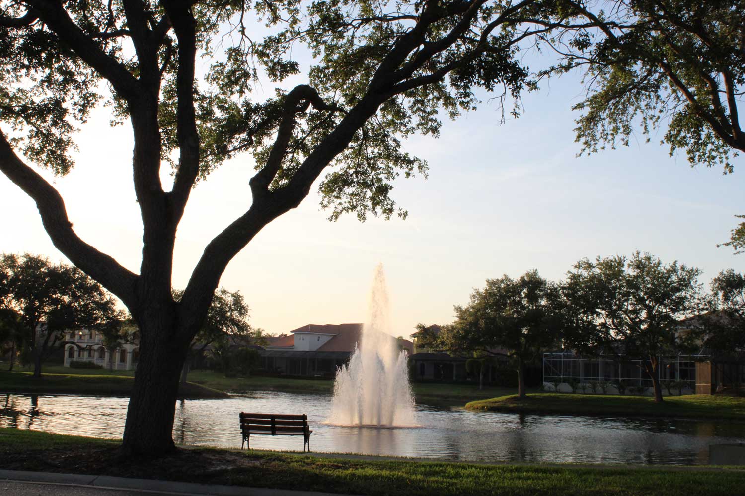 Casa Bella community — lake, fountain, and residential neighborhood